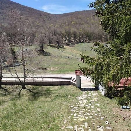 Chalet Edelweiss Marsia-Tagliacozzo 1500Mt Villa Kültér fotó