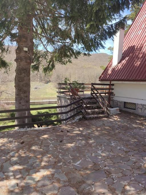 Chalet Edelweiss Marsia-Tagliacozzo 1500Mt Villa Kültér fotó